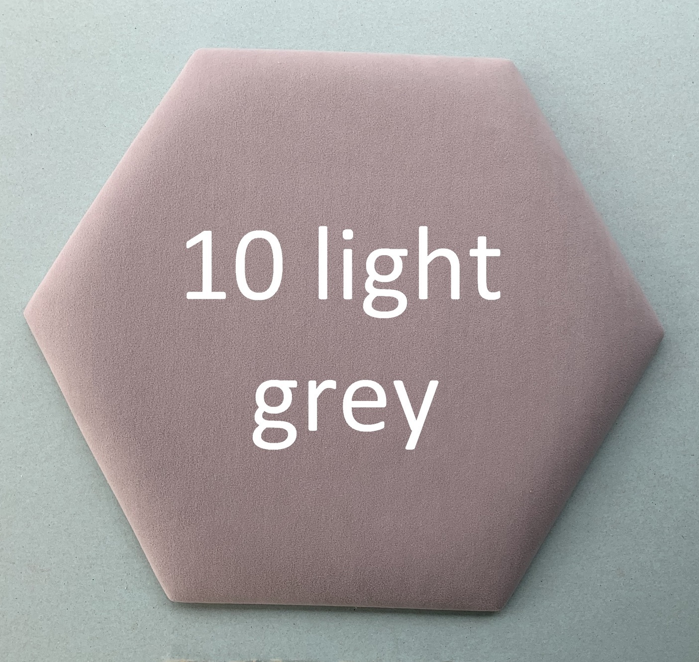 Цвет панелей 10 light grey